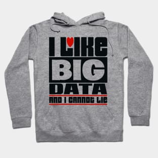 I like big data and I cannot lie Hoodie